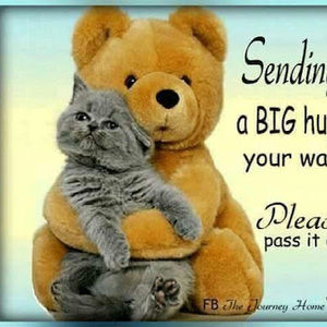 Meet your Posher, Cynthia